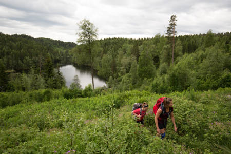 Fortjernsbråten. Foto: Sylvain Cavatz