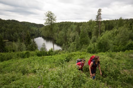 Fortjernsbråten. Foto: Sylvain Cavatz