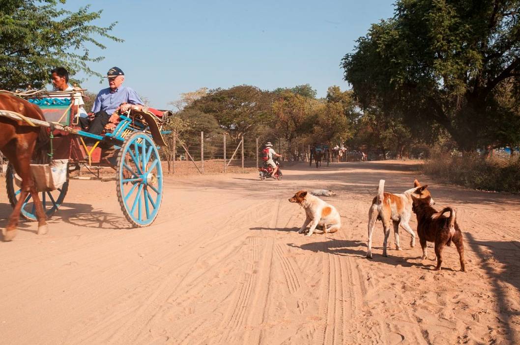 Hest og kjerre eller el-sykkel har blitt et populært alternativ til sykkel og taxi. Løshunder er overalt. I New Bagan, Old Bagan og Nyaung U er det mange muligheter for frokost, lunsj eller middag mellom etappene.