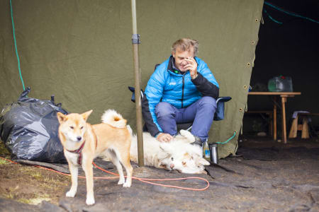 Campstemning for to- og firbeinte. Foto: Marte Stensland Jørgensen