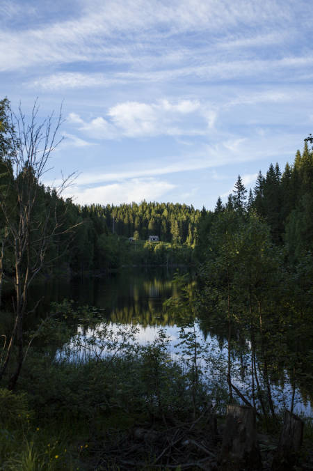 På veien mellom Gørja og Middagskollen. Foto: Marte Stensland Jørgensen