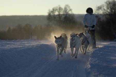 BÆREKRAFTIG REISEMÅL: Røros er blant stedene som har fått Merket for bærekraftig reisemål siden lanseringen i mars 2013. Foto: Terje Rakke/Nordic Life visitnorway.com