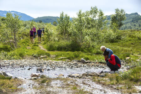 Foto: Pål Koxvig