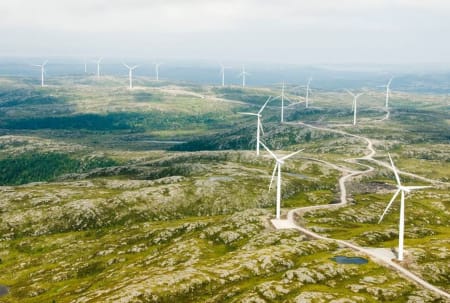 Frøya vindpark består av vindturbiner i til nå urørt natur. Vindkraft bidrar bare neglisjerbart i klimasammenheng, men ødelegger uerstattelig natur og dreper store mengder fugler. Foto: Hitra-frøya.no