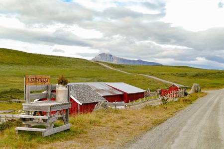 MJØLKEVEGEN MED AVSTIKKERE: Langs Jotunheimenvegen kommer du tett på fjellet og stølslivet med sykkel. Foto: Birgit Haugen