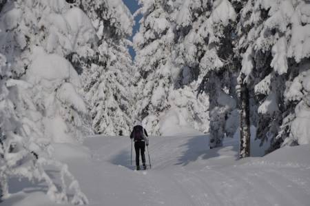 Gjennom friluftsliv vinterstid utvikles fornemmelsen for snø. Hvordan bidrar en tekstmelding fra idrettslagets smøreteam til å utvikle de unges kunnskaper om snø og føreforhold, spør kronikkforfatterne. Illustrasjonsfoto: Gunhild Aaslie Soldal