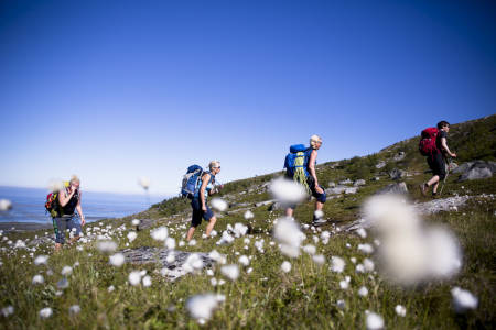 På vei til Sørskottind og Skotstindtraversen. Foto: Line Hårklau