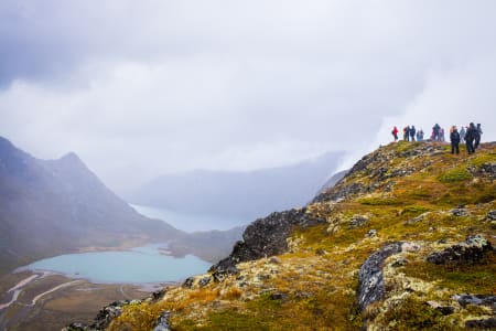 Fra lørdagens tur på Knutshøe. Foto: Marte Stensland Jørgensen