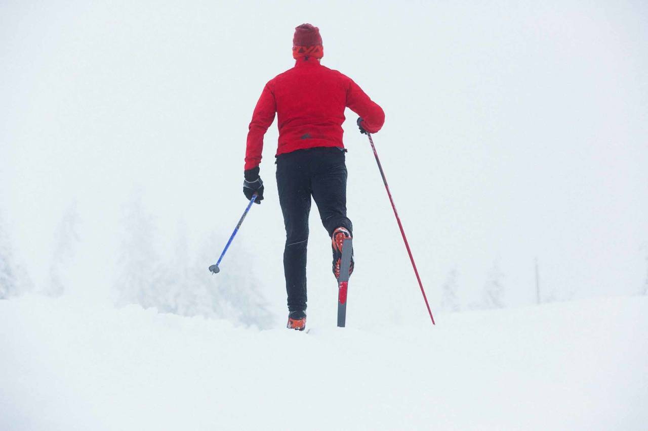 Alt du må vite om felleski faq