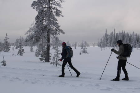GROPMARKSRUNDEN: Det hender at det er surt og kaldt på fjellet. Da er det bedre å holde seg lavere i terrenget, og Gropmarksrunden kan være et fint alternativ.