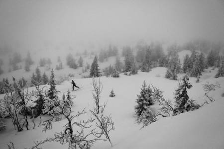 LETTKUPERT: Vikerfjell omtales som Oslos nærmeste høyfjell, og tilrettelegger langrennsspor når snøen har lagt seg. Foto Kristoffer H. Kippernes