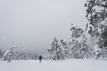 FY FLATE: Krokskogen spanderer langstrakte myrer og mer i vente rundt neste sving. Kan vi be om mer? Foto: Gunhild Aaslie Soldal