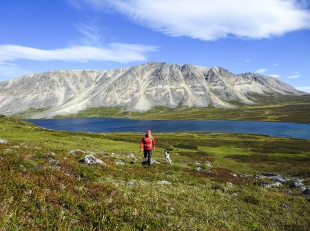 Bor I fjellmekka: Fjellet i bakgrunnen heter Vaddasgaisa (1028 moh) og ligger i Porsanger hvor Marit bor. Hun er på vei opp på Vuorji som er 1024 moh. i Stabbursdalen nasjonalpark. Foto: Privat