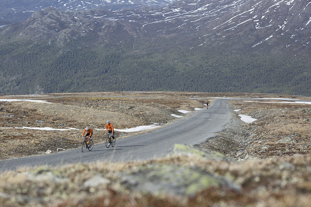 OPP TIL JUVASS: Finnes det en asfaltert bakke enhver klatrehelt fra Tour de France ville frykte? Asfalten er så som så, men vi har bakken opp til Juvass. Foto: Fra boka 71 bakker du må sykle i Norge