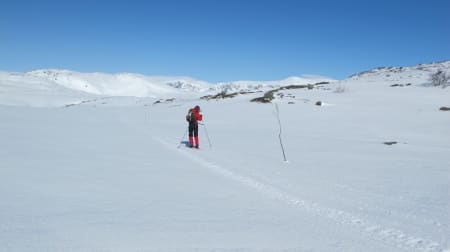BUSKERUD: Folarskardnuten, Hol kommune (1933 moh.) Toppen er en del av Hallingskarvet og er i tillegg til å være det høyeste fjellet i Buskerud, det høyeste fjellet i Norge sør for Jotunheimen. Hallingskarvet er et populært område for de som liker å gå lange turer på ski, og på fjellski fikk vi en lang og fin tur. Turen er en forholdsvis lett tur med noe bratt stigning helt på slutten, men den er absolutt en som jeg husker var ganske lang. Det kan godt ha noe med at vi gikk store deler av turen i sterk motvind, men toppen nådde vi, og med vinden i ryggen koste vi oss med en praktfull utsikt.