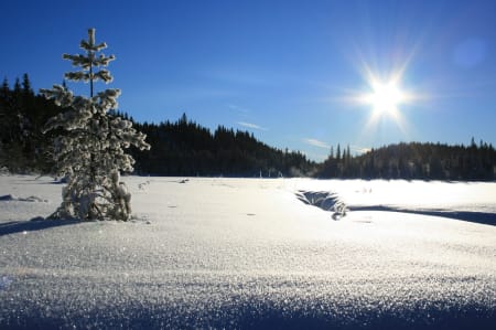 OSLO: Kjerkjeberget (også kalt Kirkeberget/Kyrkjeberget), Oslo fylke, på grensen mellom Oslo og Lunner kommune (631 moh). Kjerkjeberget er en ås som ligger i Nordmarka nord for vannet Store Sandungen og sør for åsene Branntjernhøgda og Revshammeren. På toppen ligger det en rød og hvit brannvakthytte som er synlig på langt hold og som gir god utsikt ned på Sandungen i sør og Sandungskalven i øst.