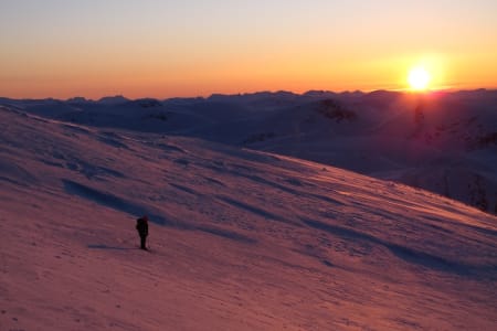 SØR-TRØNDELAG: Storskrymten (1985 moh). Toppen markerer grensen mellom de tre kommunene og fylkene Oppdal i Sør-Trøndelag, Sunndal i Møre og Romsdal og Lesja i Oppland. Fjellet ligger i Dovrefjell-Sunndalsfjella nasjonalpark. Camilla Ringvold og jeg hadde tidenes tur ved å kjøre bil til Dovre, sykle til Snøheim og deretter gå på fjellski til toppen av Snøhetta. Der stod vi i en av de vakreste solnedgangene jeg har sett og samtidig så vi toppene fra Rondane stikke opp i det fjerne, og målet vårt, Storskrymten på andre siden. Etter overnatting på Åmotdalshytta gikk vi en fin dagstur til Storsrkymten hvor vi synes det var veldig gøy å løpe rundt varden på toppen og på 15 sekunder ha vært innom tre fylker (!). Været var ikke å klage på, vi kunne like så gjerne gått i shorts og 1.mai da vi gikk ut fra området så vi folk i tog på vei til Snøhetta. Om ikke alt dette var nok så vi en flokk moskuser på veien ut også! Det er alltid spennende på eventyr!