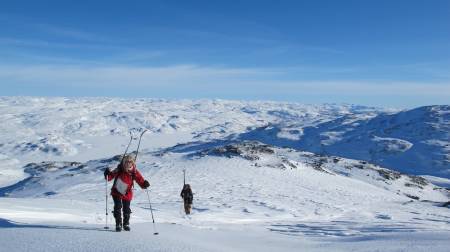 ROGALAND: Vassdalsegga (1658moh. – også kalt Vassdalseggi) ligger på grensen mellom Suldal i Rogaland og Vinje i Telemark. Turen til Vassdalsegga ble en kjempefin fjellskitur som startet fra Haukeliseter. Toppen er svært tigjengelig siden hytta ligger langs E134. Turen var relativt enkel med litt bratte partier til tider og strakk seg vel over en 4-5 timer (tur/retur). Her fikk jeg nok en gang se et nydelig fjellområde jeg ikke var kjent med som har flust av flotte fjellskiturer. Skredfare var samtidig noe vi måtte ta hensyn til da en del sider her og der hadde løsnet den siste perioden på 2-3 uker. Jeg var tilbake i akkurat samme område i sommer og så at turen er nok vel så fantastisk på sommer som på vinter!