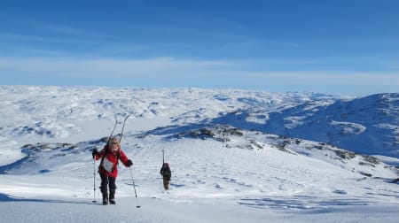 ROGALAND: Vassdalsegga (1658moh. – også kalt Vassdalseggi) ligger på grensen mellom Suldal i Rogaland og Vinje i Telemark. Turen til Vassdalsegga ble en kjempefin fjellskitur som startet fra Haukeliseter. Toppen er svært tigjengelig siden hytta ligger langs E134. Turen var relativt enkel med litt bratte partier til tider og strakk seg vel over en 4-5 timer (tur/retur). Her fikk jeg nok en gang se et nydelig fjellområde jeg ikke var kjent med som har flust av flotte fjellskiturer. Skredfare var samtidig noe vi måtte ta hensyn til da en del sider her og der hadde løsnet den siste perioden på 2-3 uker. Jeg var tilbake i akkurat samme område i sommer og så at turen er nok vel så fantastisk på sommer som på vinter!