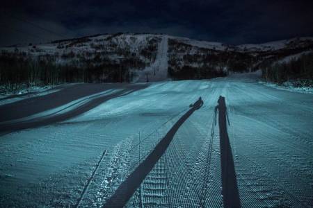 Foto: Tore Friele Lie/Falkeblikk