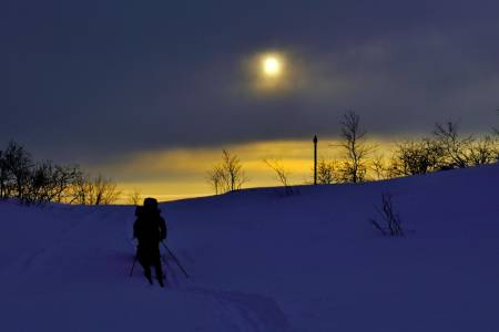 Et glimt av februarsola. Foto: Ida Ask