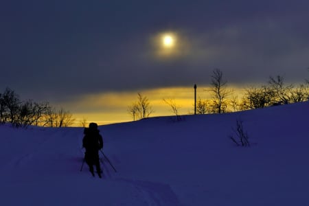 Et glimt av februarsola. Foto: Ida Ask