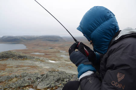SAMBAND: Utover dagen begynner det å komme meldinger om hvor reinsdyra er observert – forhåpentligvis.