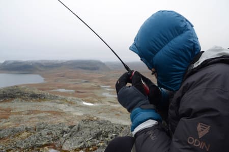 SAMBAND: Utover dagen begynner det å komme meldinger om hvor reinsdyra er observert – forhåpentligvis.
