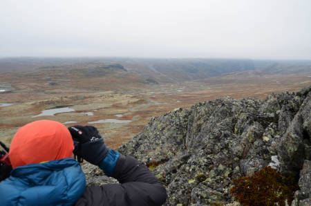 TÅKEHEIMEN: Det er ikke vits i å gå over 1600 meter i dag. Tåka ligger som et tett tak over hele dalen.