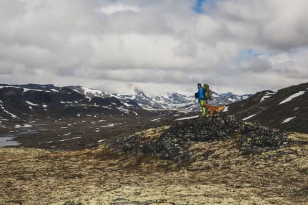 VIND I HÅRET: Ståle og Eik speidar på alle dei som kjem frå Gjendebu, og som går glipp av denne perla av ein teltplass.
