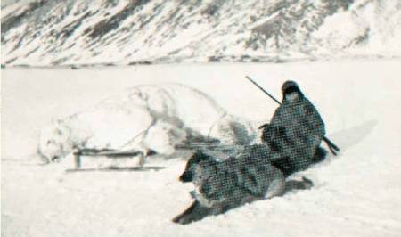 ISBJØRNJEGER: Wanny snakker om bjørn, tenker på bjørn, drømmer om bjørn. Og skyter den. Foto: Svalbard Museum