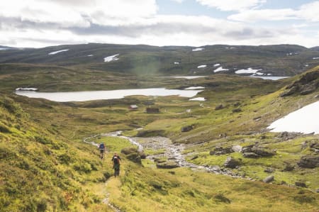 VARIERT: Stølsheimen har både kort avstand mellom hytter, og spennende vestlandsnatur. Foto: Sindre T. Lønnes / DNT