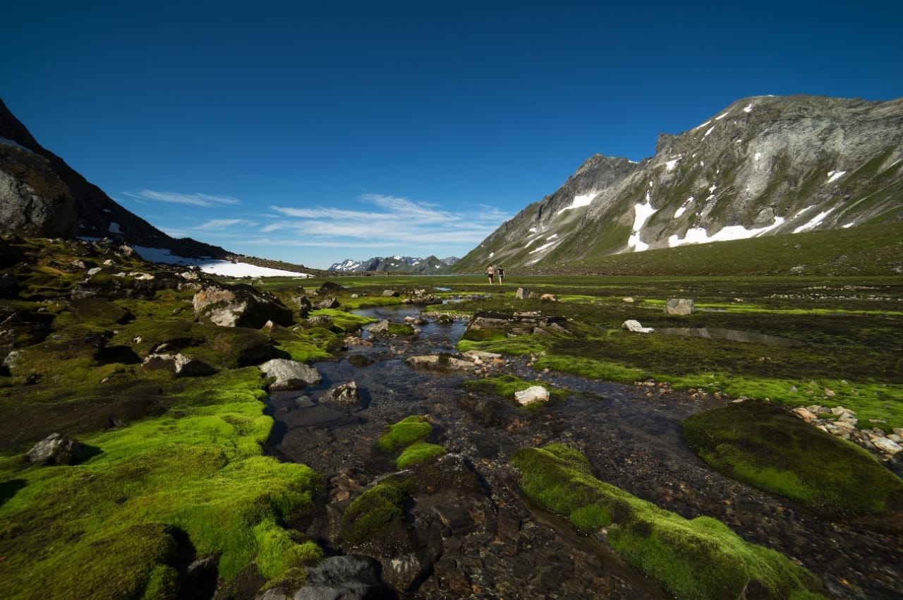 EVIGGRØN: Sykkylvsdalen har eit karrig landskap. Kven skulle tru at denne dalen løyner ei grøn elveslette? Foto: Ståle Johan Aklestad