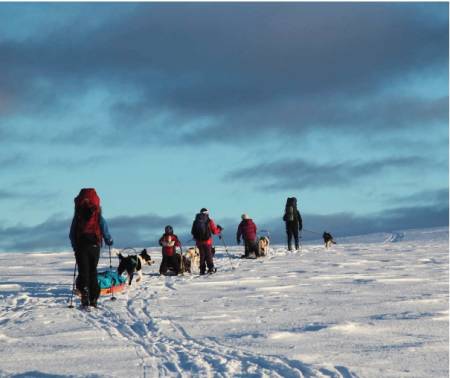 INNOVER FJELLET: En fin kolonne av folk og dyr i det gnistrende vinterfjellet. Foto: Lars Krempig