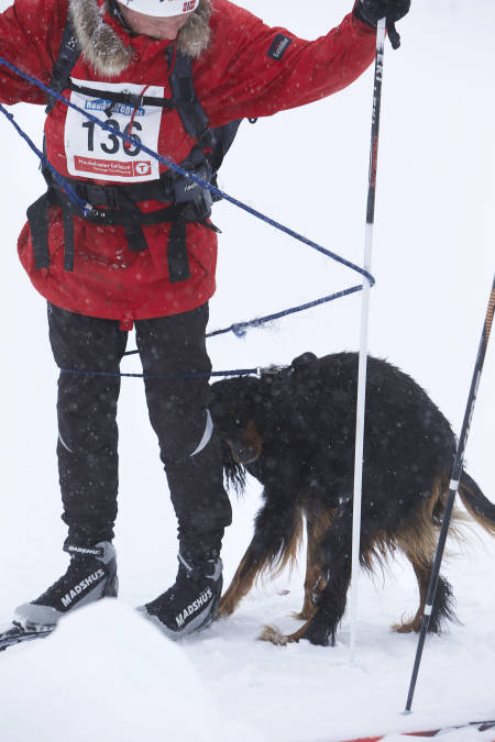 I BÅND MED HUNDEN: De sto klar til å følge på da starten gikk, men ble forsinket.