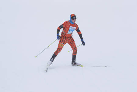 TIGER UT AV DET HVITE: Lett synlig i snøføyken.