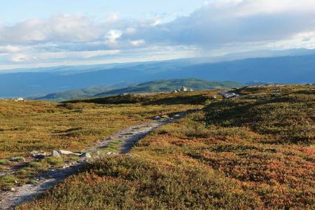 NOREFJELL: Flotte stier og stor utsikt, i kort avstand fra hovedstaden. Turen kan du gjøre så lang du har tid til, du kan fortsette helt til Hardangervidda om du vil! Foto: Sandra L. Wangberg
