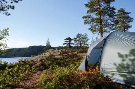 SKOGENS RO: Skrim gir deg både flott skog og høydedrag med innslag av fjell. Uansett finner du garantert roen. Foto: Sandra L. Wangberg