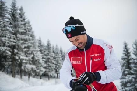 FØLELSEN AV FRAMDRIFT: Ko Foto: Vegard Breie