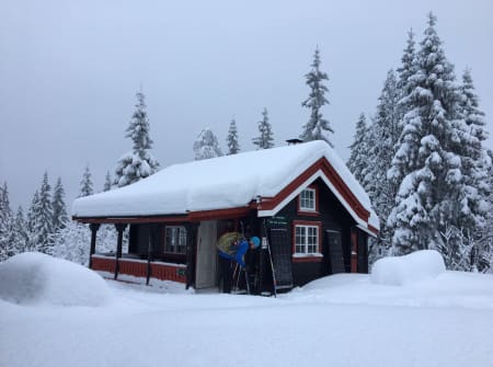 OSLOS BAKGÅRD: