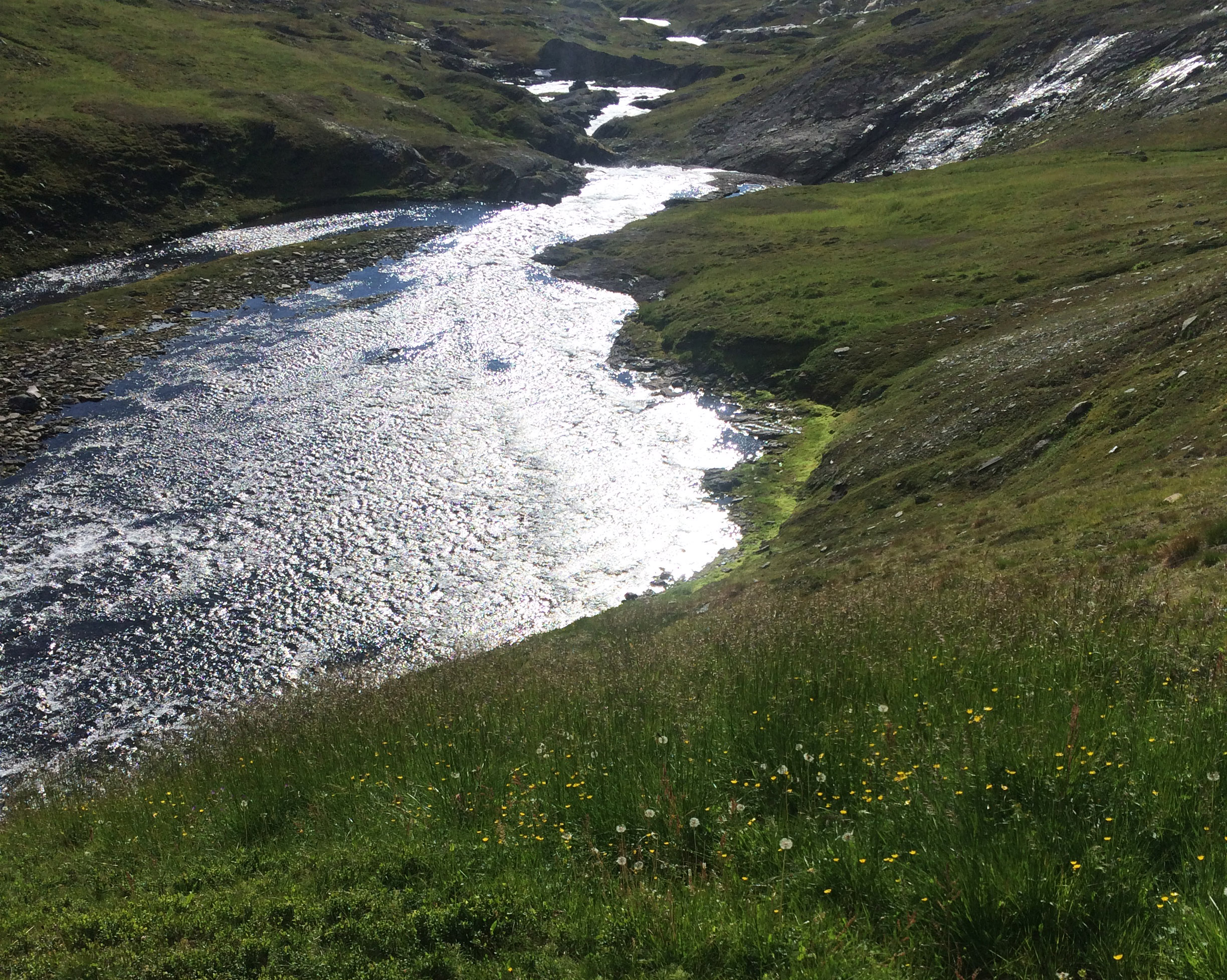 SETT FRA EN BOTANIKERS STÅSTED: Sist sommer var jeg på feltarbeid i et fantastisk område ved Linnavatn i Nordland, som er sjeldent rikt på mineraler. Det preger også floraen. I forgrunnen av bildet ser vi rik berggrunn med blomstereng, og fattig lynghei til høyre. Linnavatn er et av stedene hvor dramatisk geologi gir dramatisk vegetasjon, skriver Hanna Hagen Bjørgaas