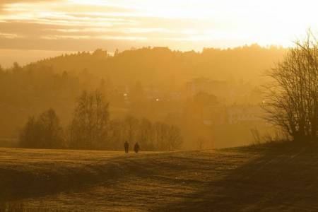 UTNYTT SOLSTRÅLENE SENHØSTES: Når solen kryper såvidt over horisonten, så kan man få et fint og varmt uttrykk. Bildet her er fra jordene ved Østensjø gård. Lukkertid: 1/320s. Blenderåpning: f/8. Lysfølsomhet: ISO 400. Brennvidde: 230mm. Foto: Snorre Veggan