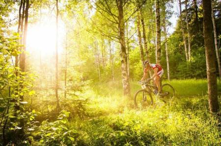 FÅ SOLA I FLEISEN: Å ta bilde mot solen kan bli riktig bra. Men pass på at motivet får korrekt eksponering. I tillegg må lukkertiden tilpasses motivets bevegelse. Lukkertid: 1/1600s. Blenderåpning: f/5,0. Lysfølsomhet: ISO 1600. Foto: Snorre Veggan