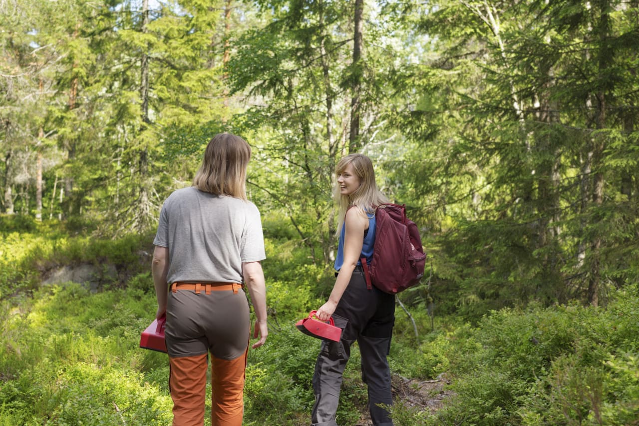NÆRSKOG: Blåbærtur og andre turer i nærskogen er en opplevelse som er blitt nominert av flere, ifølge Norsk Friluftsliv. Foto: Paulina Cervenka