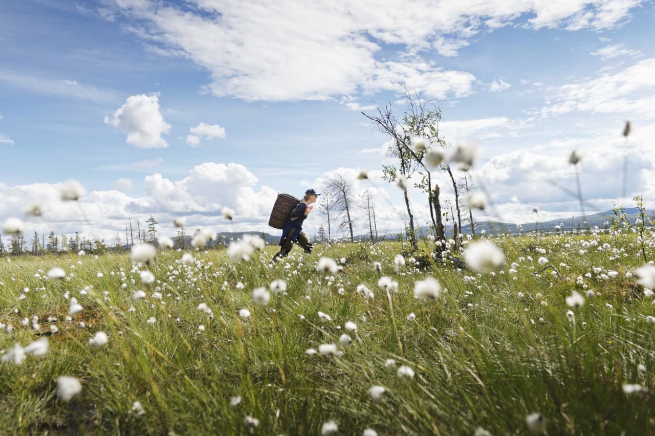EKSPEDISJON: Vannveien tok oss fra Rogen naturreservat gjennom norsk og svensk natur hele veien ned til Göteborg. Foto: Anna Ölund