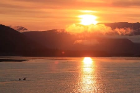 Naturen var helt enorm, men det var solnedgangene som var et helt fantastisk syn. Når vi da kunne krydre det med svømmende elger, forteller bildet alt. En magisk atmosfære som gjorde oss til tider målløse. Foto: Peter Gupta
