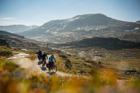 RALLARVEGEN: Sykling i disse omgivelsene kan inspirere hvem som helst til å utforske mer av områdene. Foto: Sverre Hjørnevik