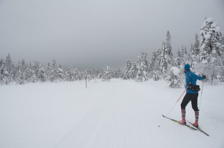 Et drikkebelte er lettvint å ta med seg på langrennsturen. Foto: Gunhild Aaslie Soldal