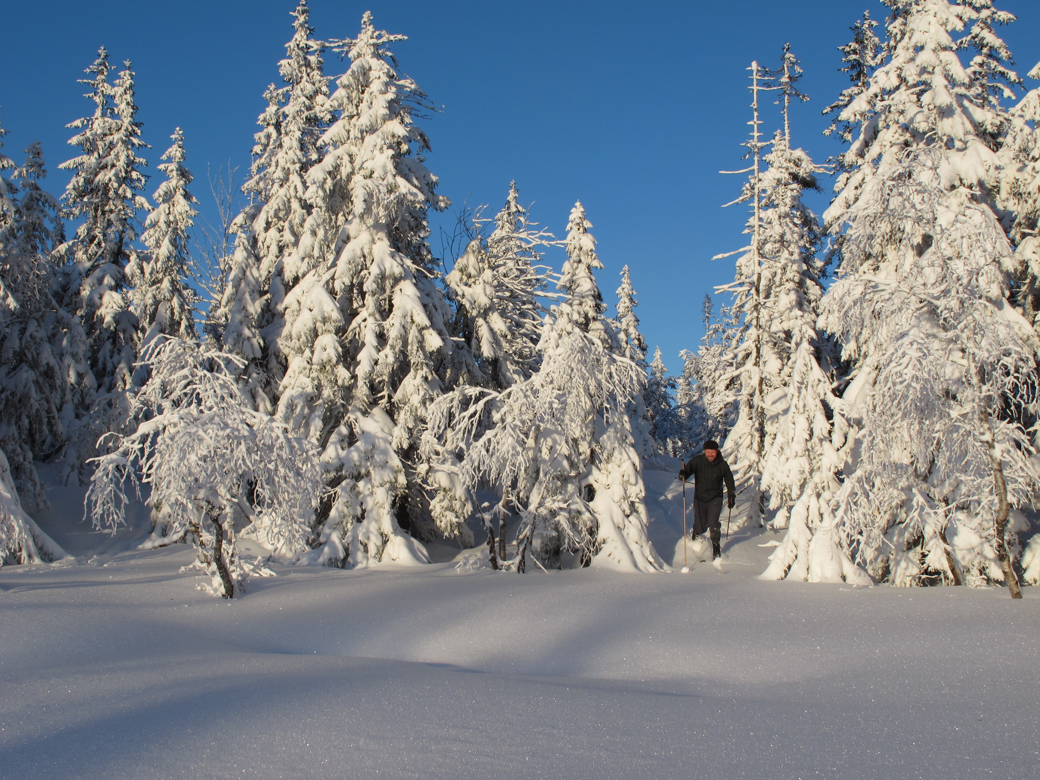 Test av fjellskisko | Test fjellskisko | Turutstyr Test av 15 fjellskisko | Test fjellskisko | Turutstyr