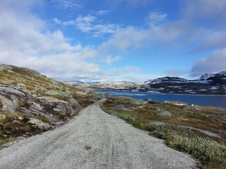Foto: Finse 1222